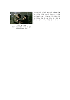 감독 분석 레포트-5