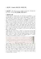 Conjugation 염료의 흡수 스펙트럼의 측정-1