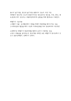 생리학 암기 레포트-10