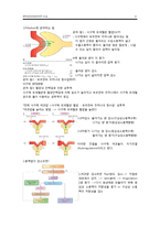 생리학 - 신장 레포트-4