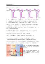 생리학 - 신장 레포트-5