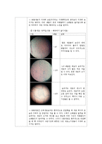 진핵생물 현미경 관찰(동물세포/식물세포)-3