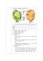 진핵생물 현미경 관찰(동물세포/식물세포)-6