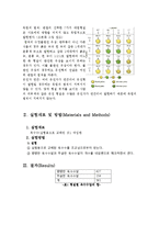 멘델 유전 레포트-3