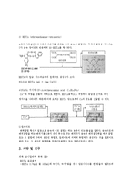 식수의경도 예비레포트-2