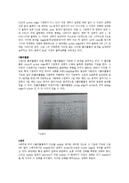 실험2. 플립플롭 및 스퀸스 회로의 기초-2