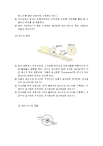 빛의 굴절 및 편광실험-5