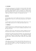 [정신지체][맨발의 기봉이-정신지체 분석] 영화 속 정신지체 장애 분석, 정신지체 특성, 영화 속 언어 특징-8