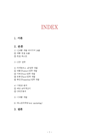 맥주 신제품개발 및 마케팅전략 기획안 레포트-2