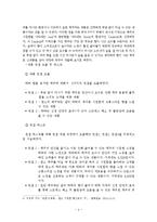 맥주 신제품개발 및 마케팅전략 기획안 레포트-4