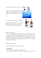 맥주 신제품개발 및 마케팅전략 기획안 레포트-18