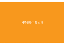 제주항공 경영전략과 제주항공 기업분석-3