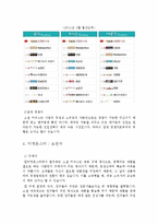 국제 경영전략 티켓몬스터-5