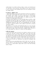 글로벌경영관리전략(국산 밀폐용기 락앤락의 세계시장 공략기)-3