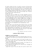 글로벌경영관리전략(국산 밀폐용기 락앤락의 세계시장 공략기)-5
