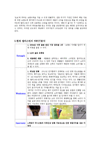 엘라스틴의 마케팅 전략-5