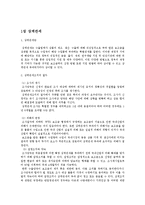 하이닉스 반도체의 상계관세 사례 보고서-3