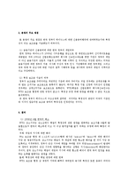 하이닉스 반도체의 상계관세 사례 보고서-8