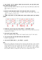 광전자 소자 레포트-9
