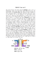 내연기관vs연료전지vs축전지-2