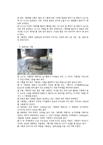 시멘트 모르타르의 압축 강도 실험-4