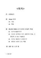 종교를 통해서 바라본 터키의 문화적 특징-2