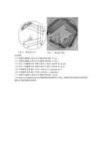 미생물 배양과 관찰-3