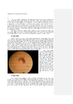 코아세르베이트(Coacervate) 관찰-4