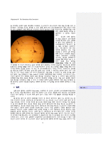 코아세르베이트(Coacervate) 관찰-6