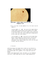일반생물학및 실험 - 양파뿌리세포의 체세포분열 관찰-4
