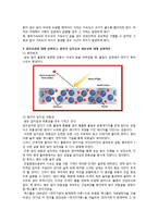 자연계에 존재하는 4가지 기본적인 힘과 기본입자들에 대해 설명하라-3