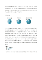 TOMS 탐스슈즈 기업분석과 탐스슈즈 마케팅 STP,4P전략분석과 SWOT분석및 탐스슈즈 향후전략제안 레포트-8