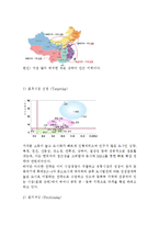 롯데마트 기업분석과 롯데마트 중국진출 마케팅 SWOT,STP,4P전략분석및 롯데마트 향후전략제안 레포트-9