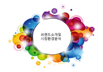 크록스 crocs 브랜드분석과 신제품개발 마케팅전략 기획안-3
