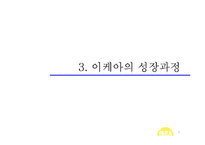 IKEA 이케아 마케팅전략과 성공요인분석 레포트- 이케아 기업분석과 마케팅(SWOT,STP,4P)전략분석, 이케아 가치사슬분석과 성공요인분석-9
