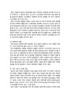 기아자동차 기업분석과 SWOT분석및 기아자동차 중국진출 마케팅전략 기획안-11