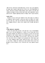 [카페베네 해외진출전략 분석 보고서] 카페베네 기업분석과 SWOT분석및 카페베네 해외시장 진출전략분석과 나의의견-7