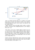 [카페베네 해외진출전략 분석 보고서] 카페베네 기업분석과 SWOT분석및 카페베네 해외시장 진출전략분석과 나의의견-11