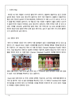 서울우유 기업분석과 SWOT분석및 서울우유 해외진출위한 마케팅전략 기획과 제안및 나의의견-12