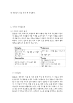 [이케아 글로벌마케팅전략분석 레포트] IKEA 이케아 기업분석과 마케팅(SWOT,STP,4P)전략 분석및 이케아 해외진출 성공,실패사례분석-16