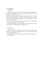 EVERLAND 삼성 에버랜드 기업분석과 SWOT분석및 에버랜드 마케팅(4P,STP)전략 분석및 향후전략 제안 레포트-5
