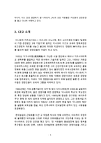 [일본항공 JAL 기업회생 경영사례연구 보고서] 일본항공 JAL 기업분석과 과거 경영위기사례분석및 JAL 기업회생 경영사례분석과 나의견해-5