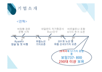 라이언에어 RYANAIR 기업분석과 SWOT분석및 라이언에어 마케팅 4P.STP분석과 미래전망연구 PPT레포트-3