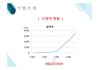 라이언에어 RYANAIR 기업분석과 SWOT분석및 라이언에어 마케팅 4P.STP분석과 미래전망연구 PPT레포트-5