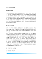 한국 행정관리의 문제(우리나라 행정관리 문제점)-2