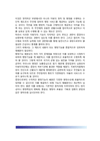 행정권력 기관간의 관계(중앙정부와 지방정부의 관계, 지방자치의 기능변화, 문제해결)-6