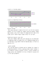 대한항공 기업분석과 대한항공 마케팅 SWOT,STP,4P 전략분석및 대한항공의 향후 새로운 마케팅전략 제안 레포트-14