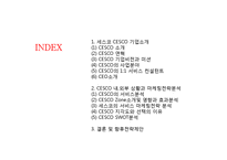 세스코 CESCO 기업분석과 서비스전략분석및 세스코 SWOT분분석과 마케팅전략분석및 미래전략제안 PPT 레포트-2