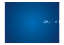세스코 CESCO 기업분석과 서비스전략분석및 세스코 SWOT분분석과 마케팅전략분석및 미래전략제안 PPT 레포트-3