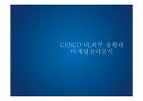 세스코 CESCO 기업분석과 서비스전략분석및 세스코 SWOT분분석과 마케팅전략분석및 미래전략제안 PPT 레포트-11